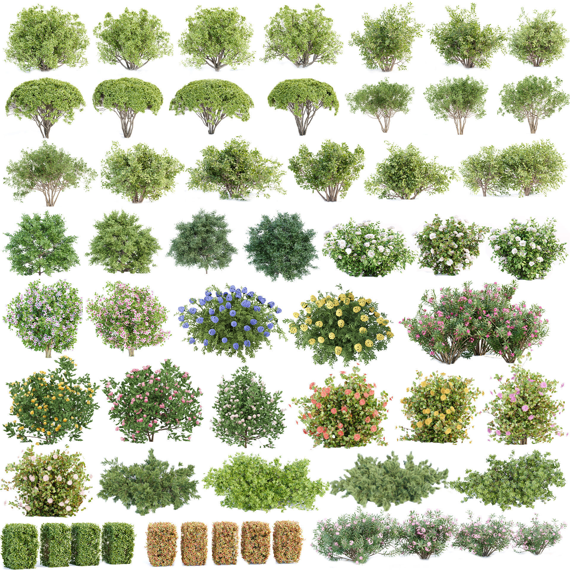 60 Bush models collection vol 10 3D Model _0