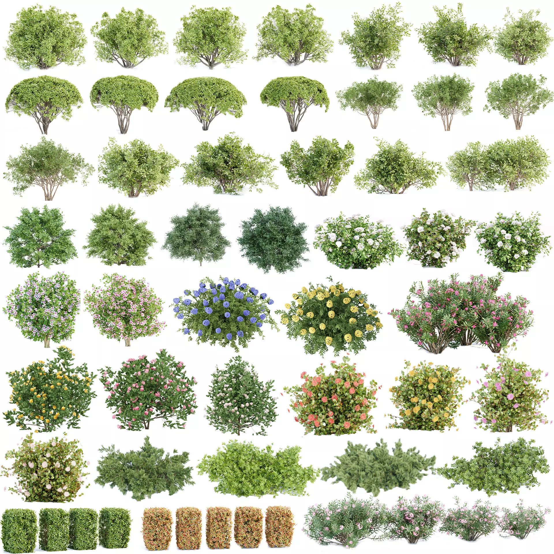 60 Bush models collection vol 10 3D Model _0