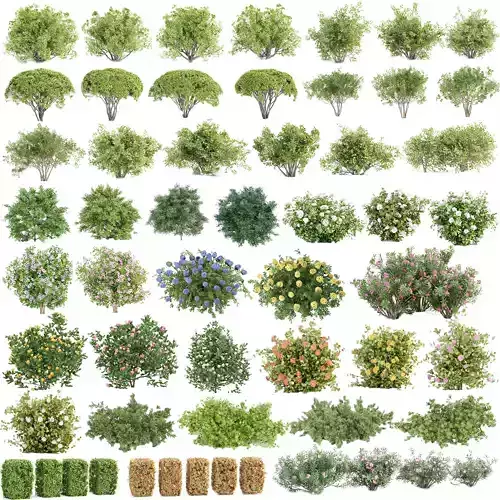 60 Bush models collection vol 10 3D Model 