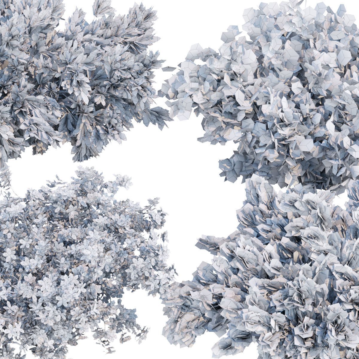 60 Bush models collection vol 10 3D Model _86