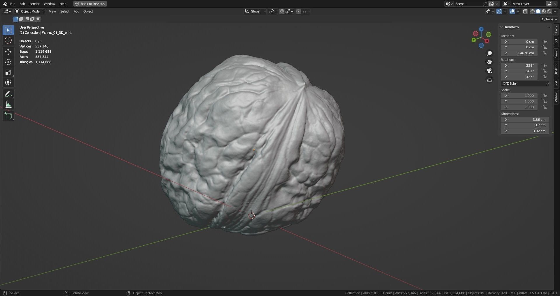 Walnut 01 3D print model_11