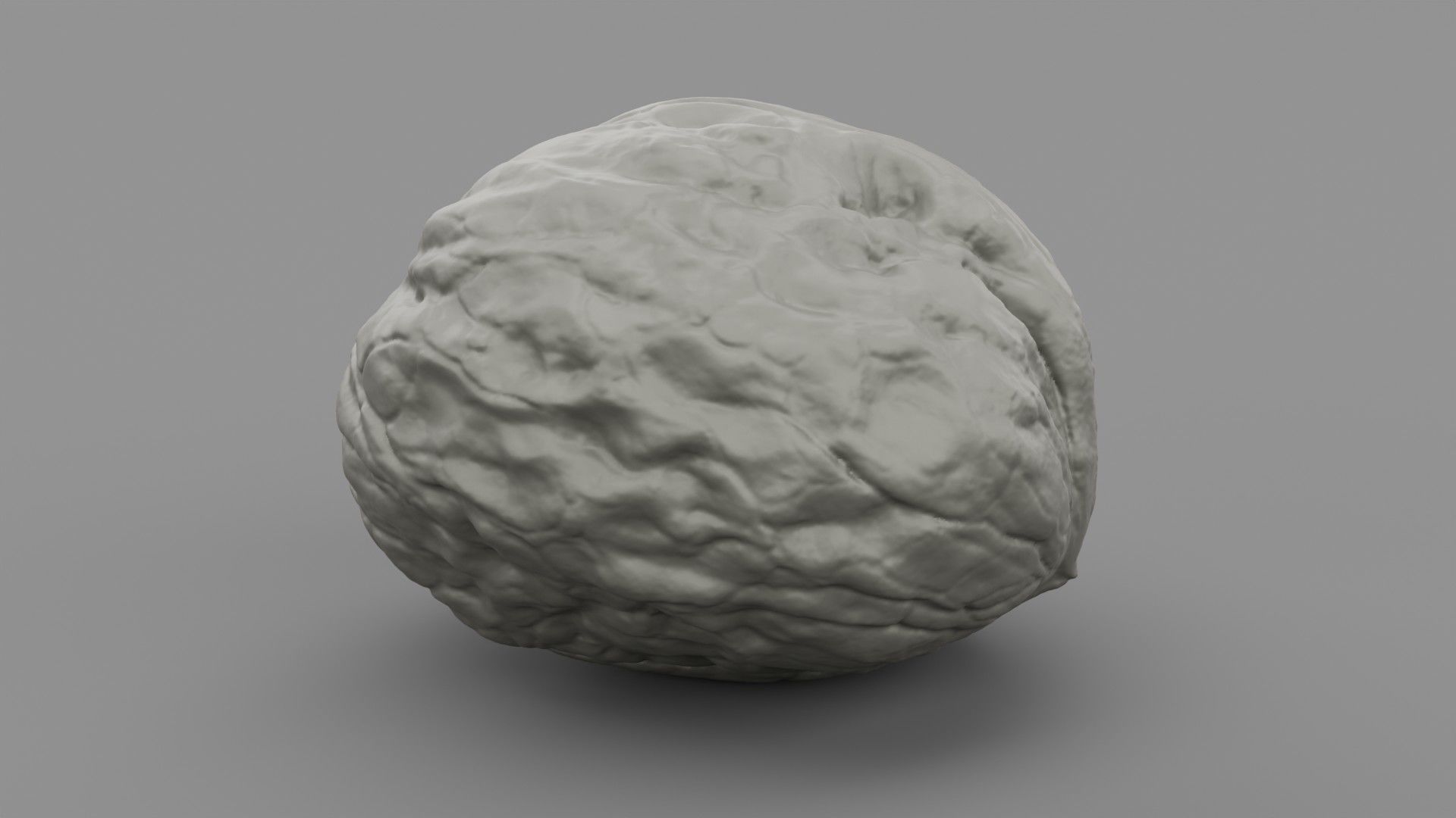 Walnut 01 3D print model_7