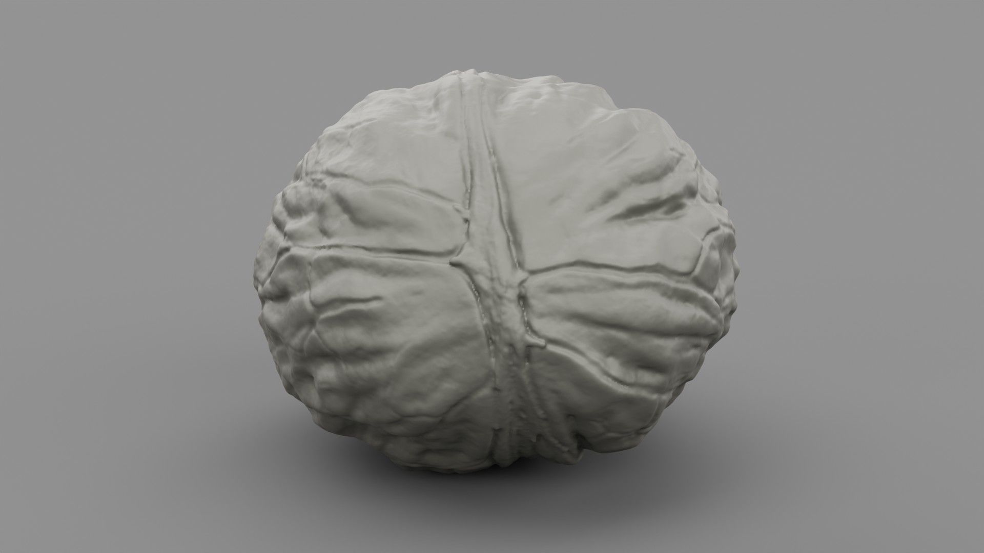 Walnut 01 3D print model_10