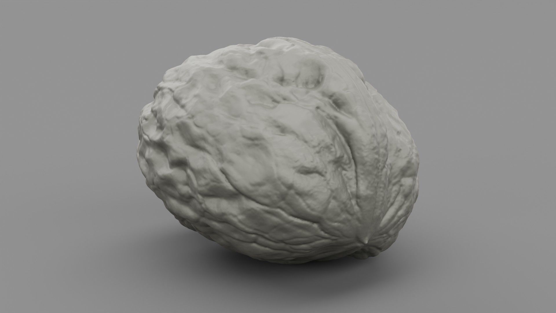 Walnut 01 3D print model_6