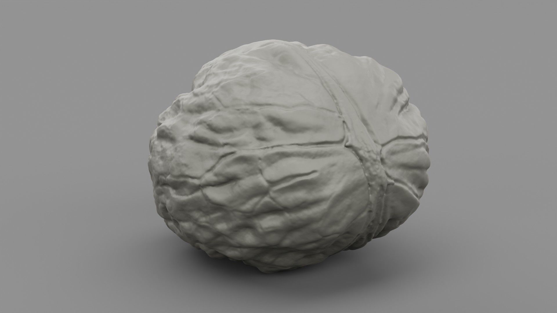 Walnut 01 3D print model_1