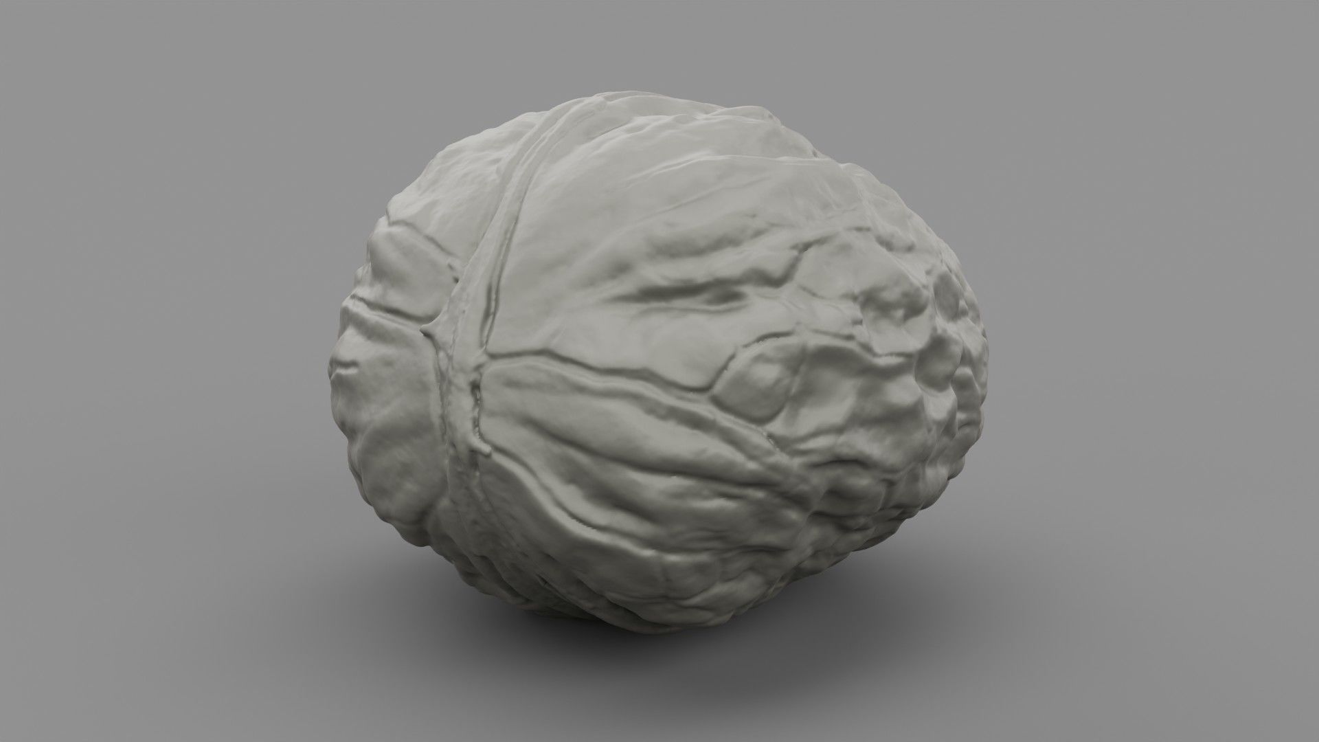 Walnut 01 3D print model_9