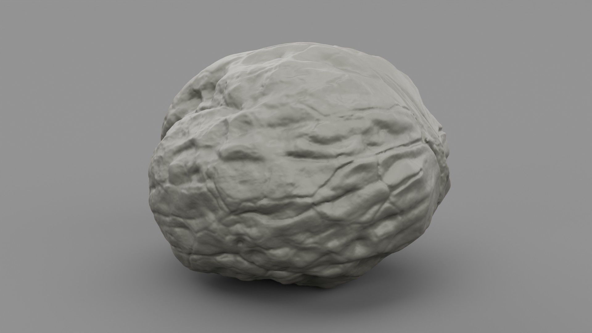 Walnut 01 3D print model_2