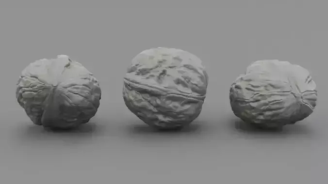 Walnut 01 3D print model