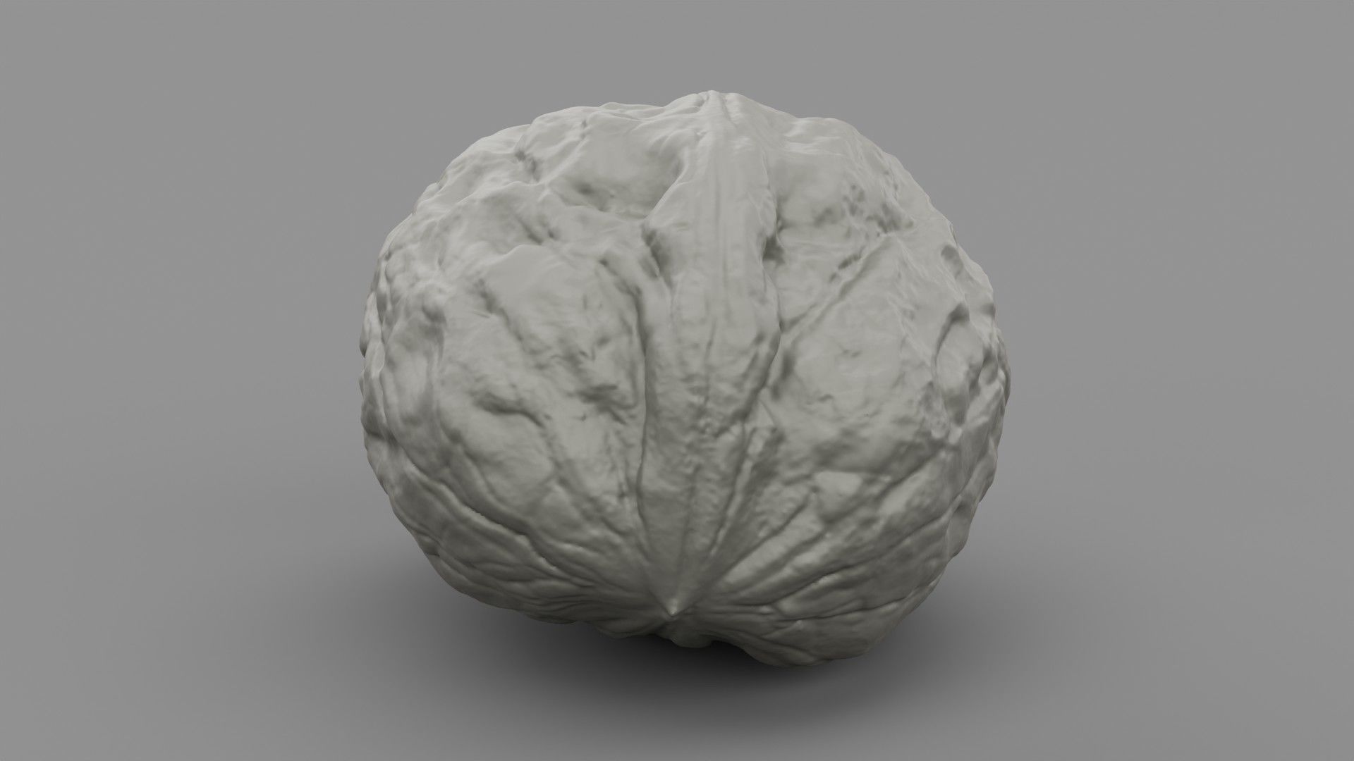 Walnut 01 3D print model_5