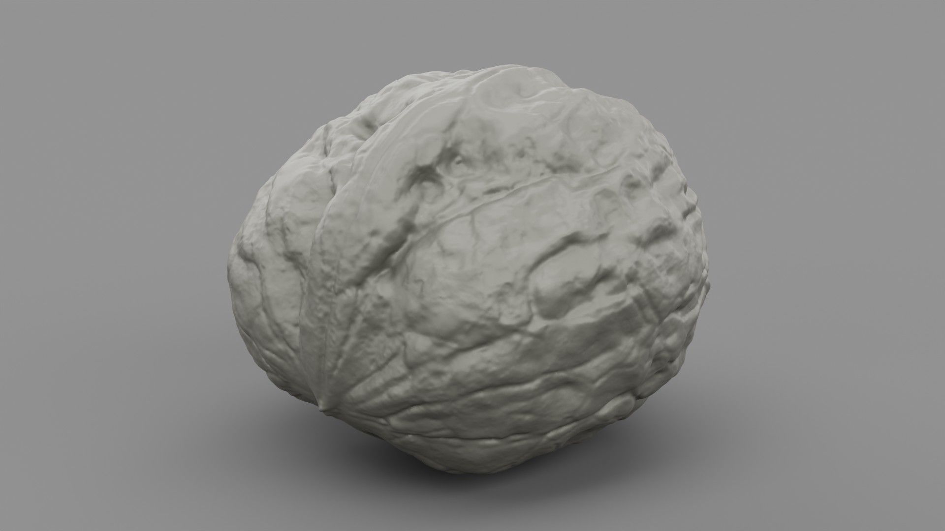 Walnut 01 3D print model_4