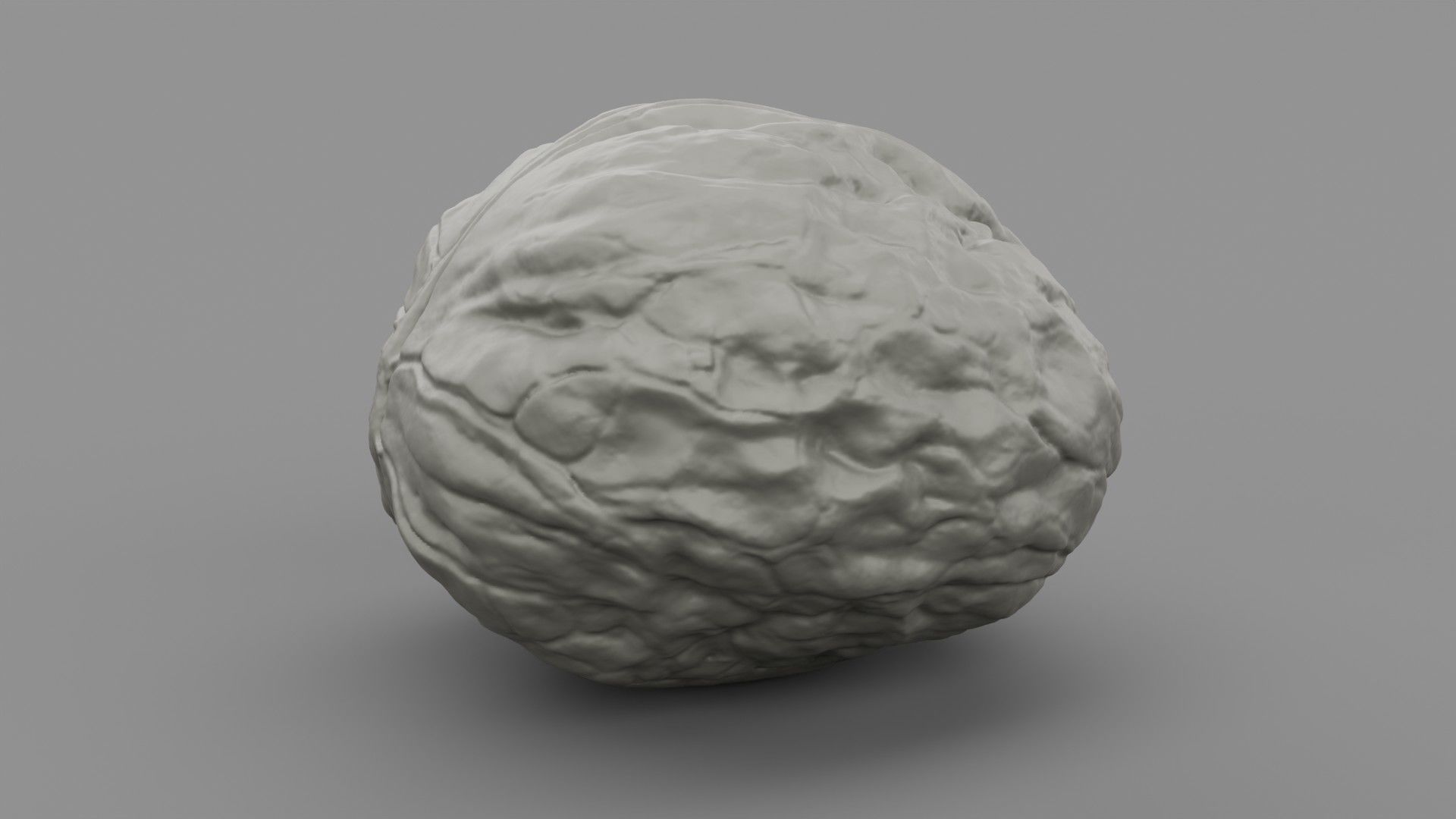 Walnut 01 3D print model_8