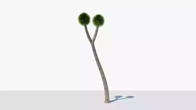 Joshua Tree or Yucca Palm v1 Low-poly 3D model