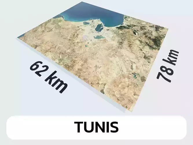 Tunis Tunisia City Landscape 3D Model 3D model
