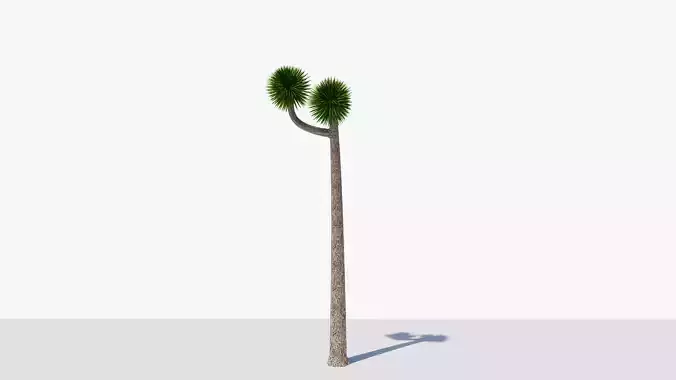 Joshua Tree or Yucca Palm v2 Low-poly 3D model