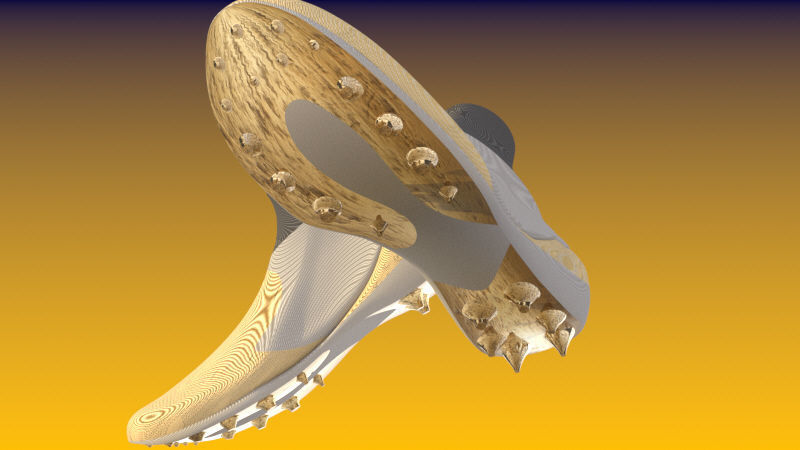 chuteira pair of shoes 3D print model_1