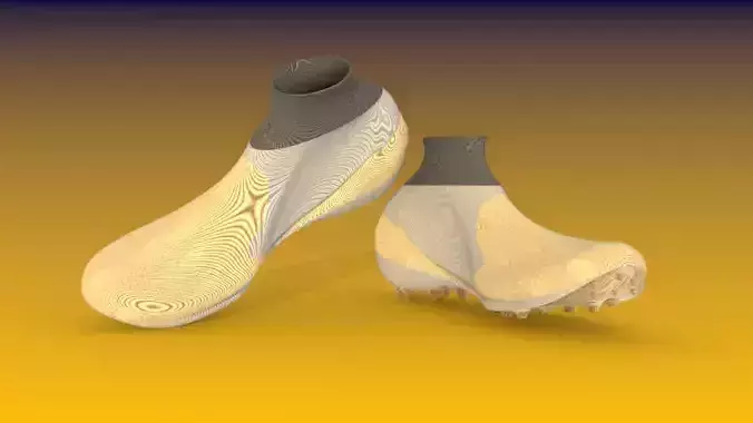 chuteira pair of shoes 3D print model