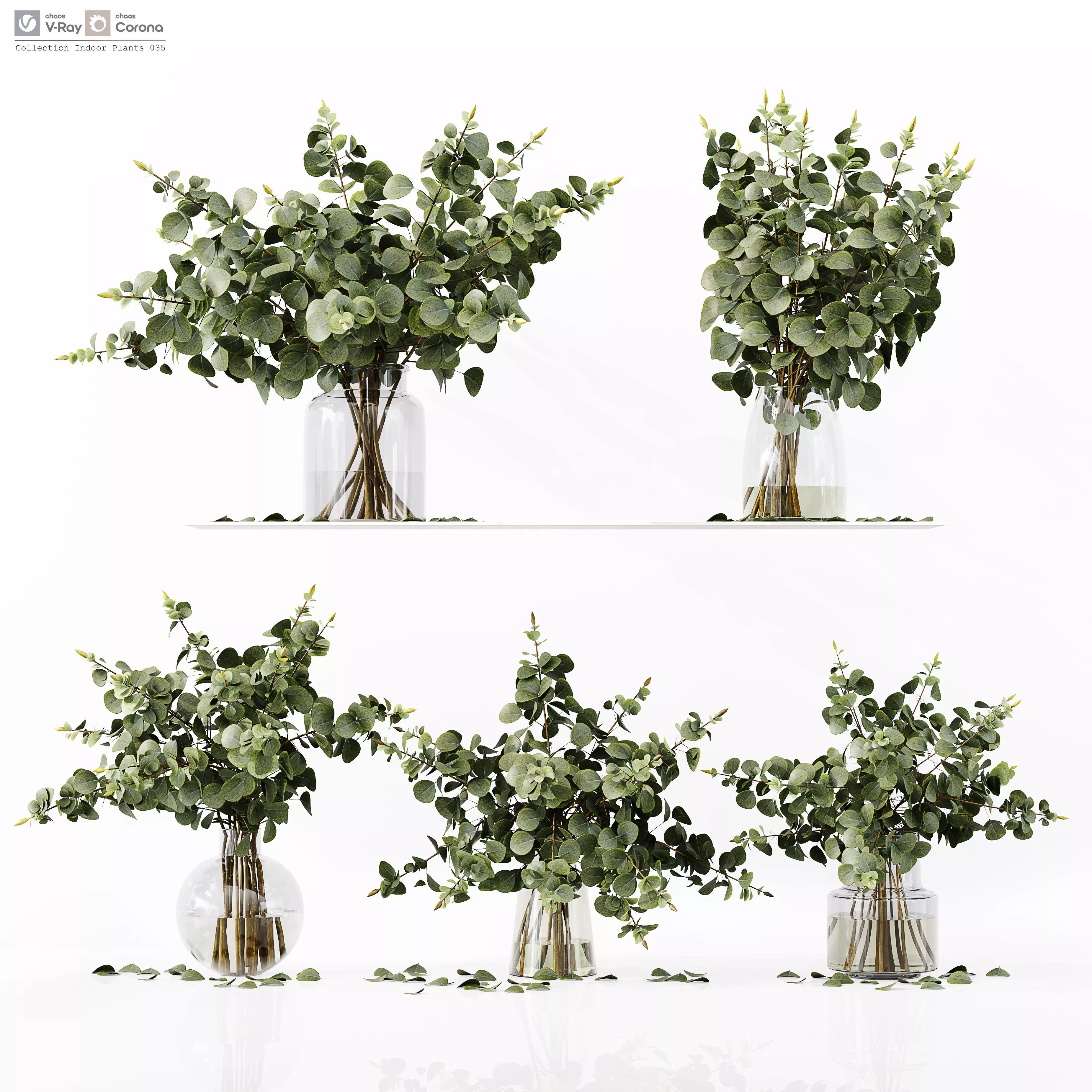 Collection Indoor Plants 035 3D model_0
