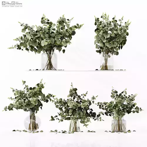 Collection Indoor Plants 035 3D model