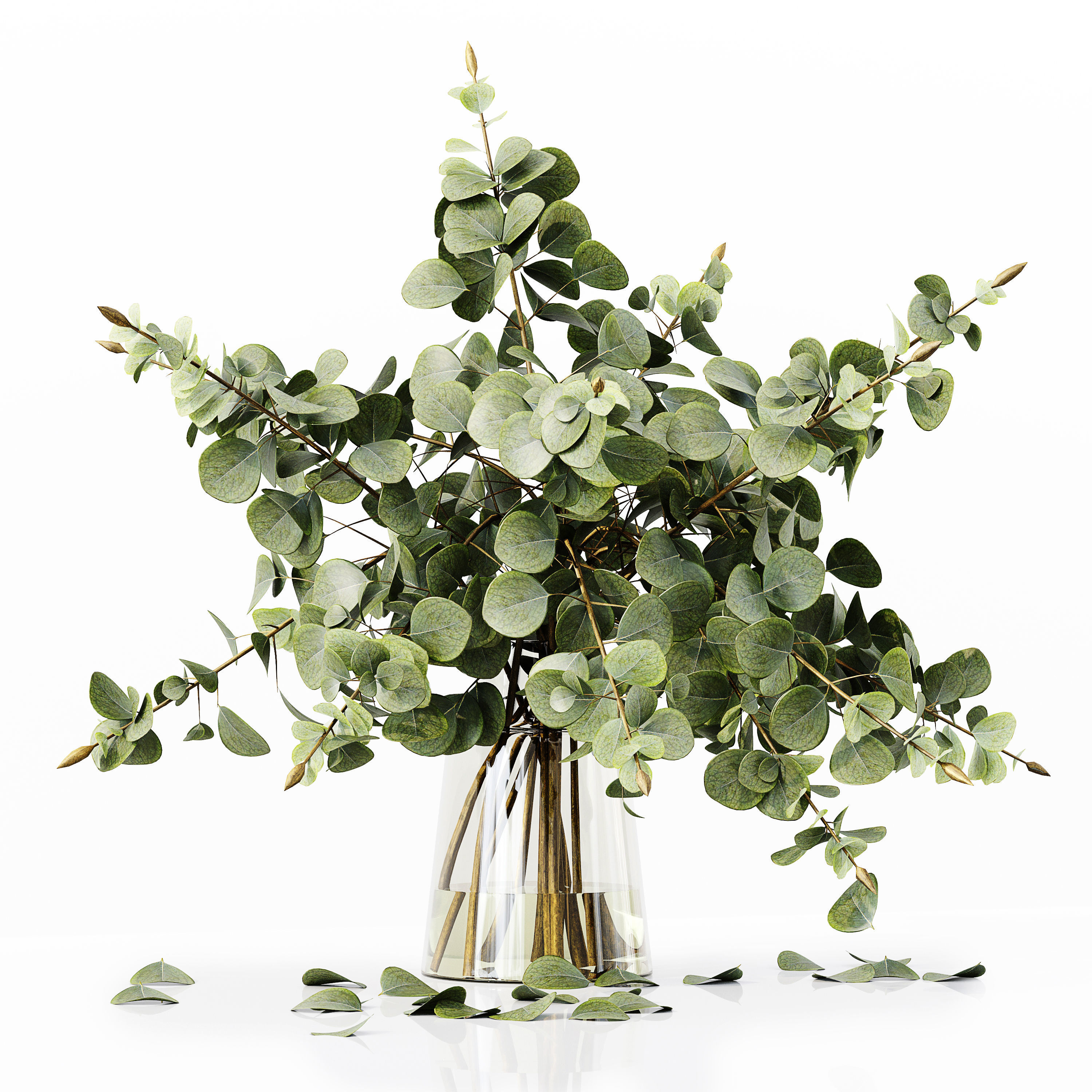 Collection Indoor Plants 035 3D model_7