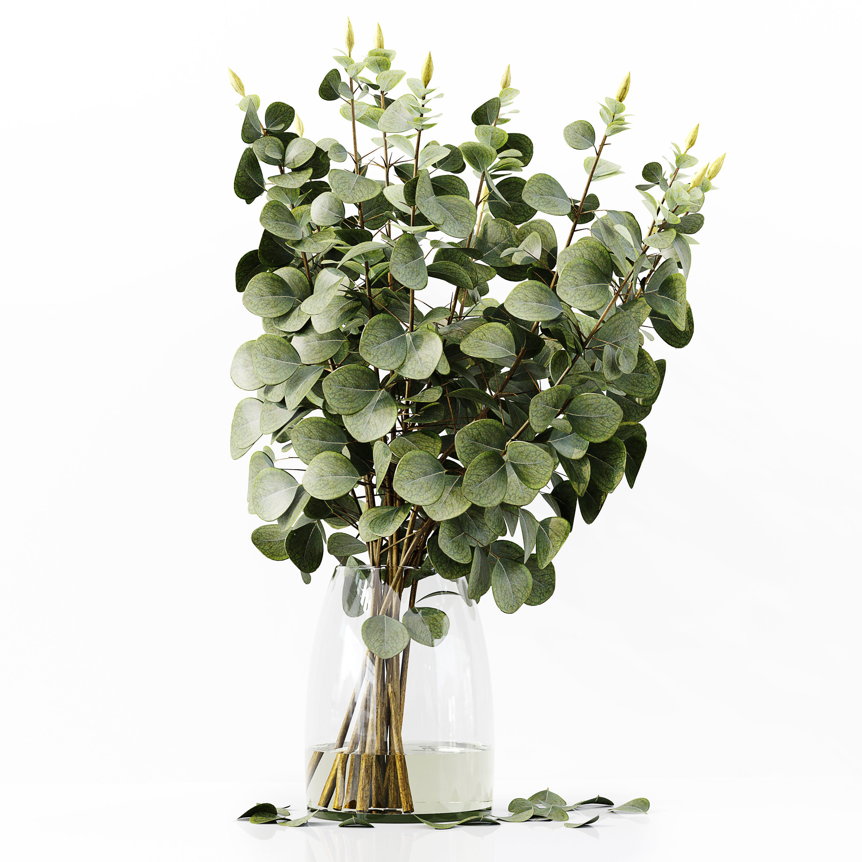 Collection Indoor Plants 035 3D model_10