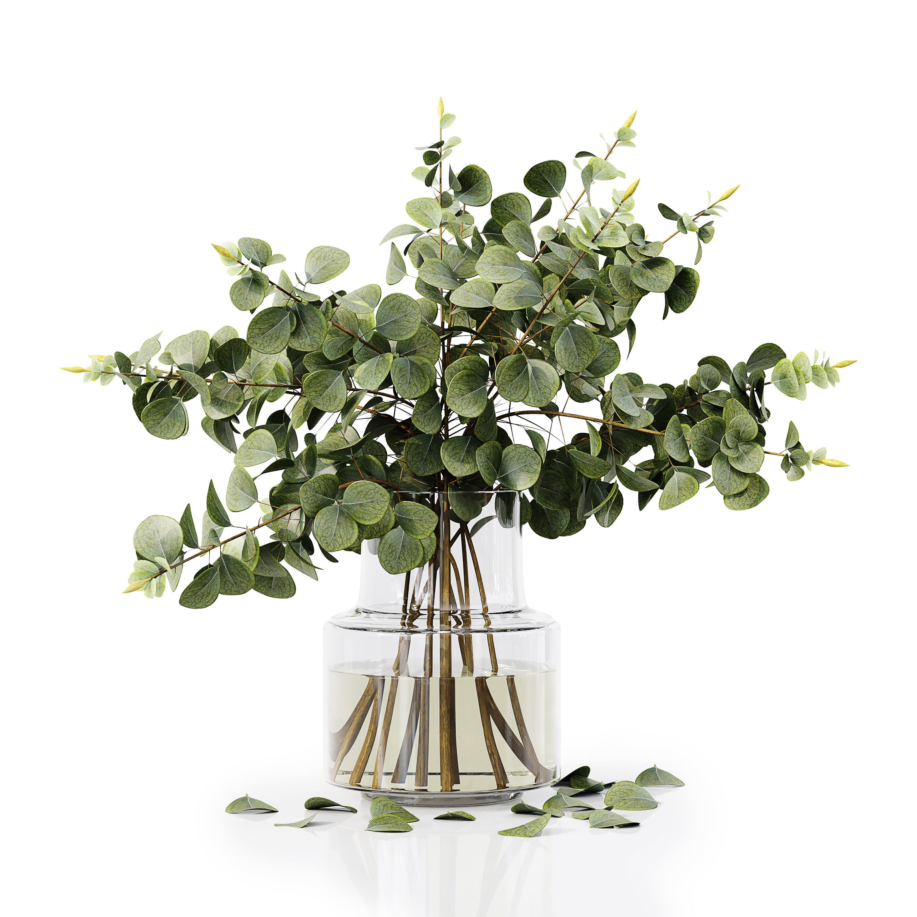 Collection Indoor Plants 035 3D model_9