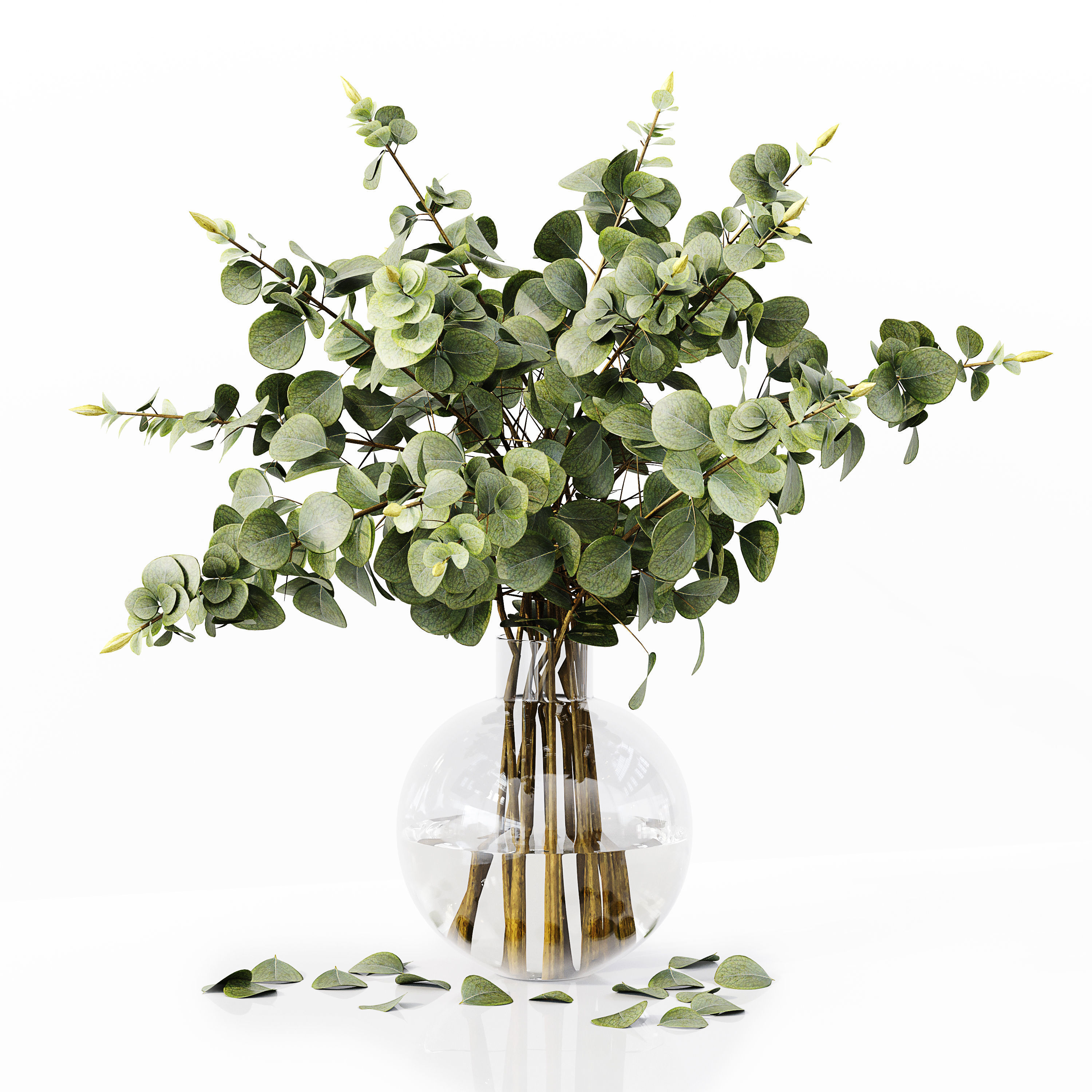 Collection Indoor Plants 035 3D model_2