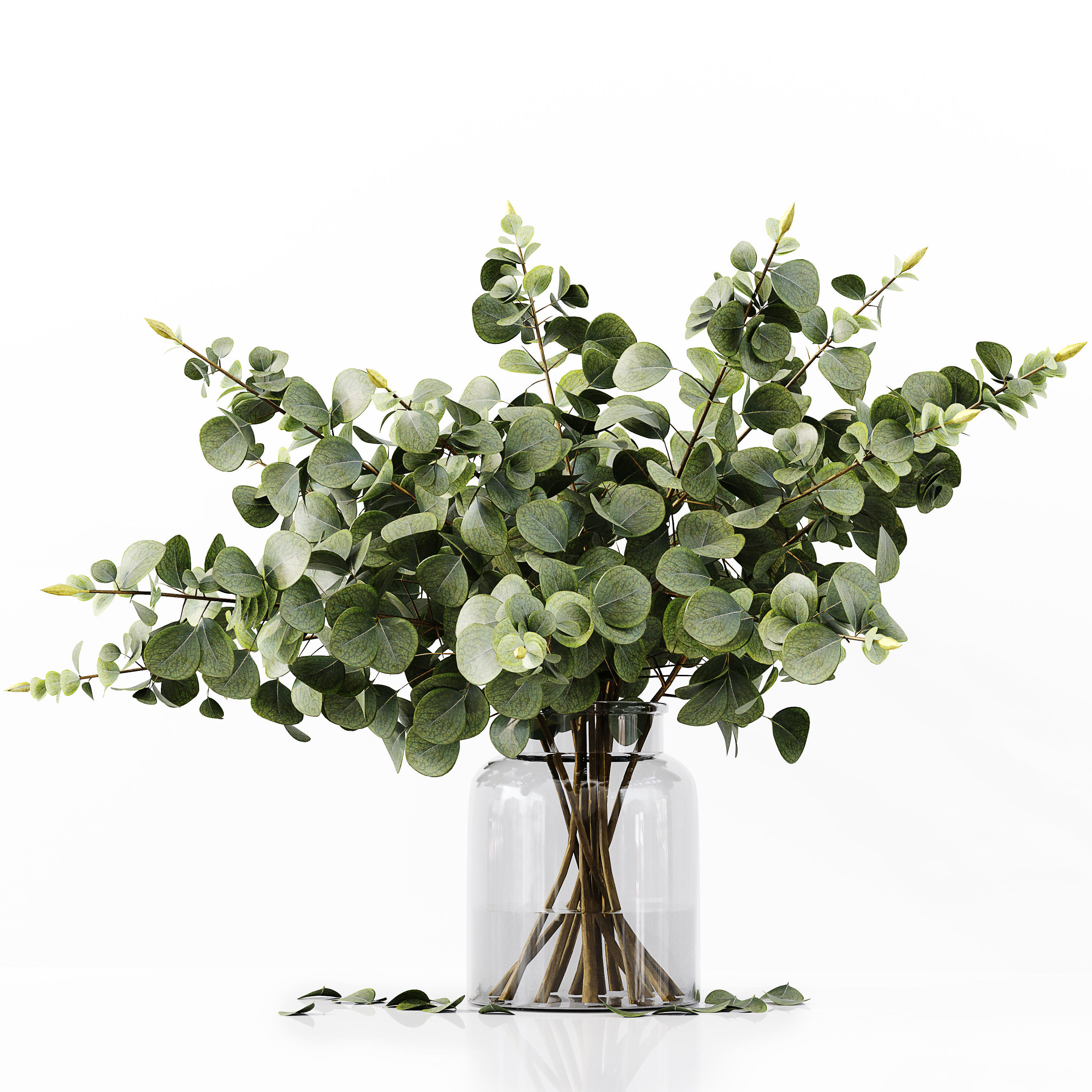 Collection Indoor Plants 035 3D model_5