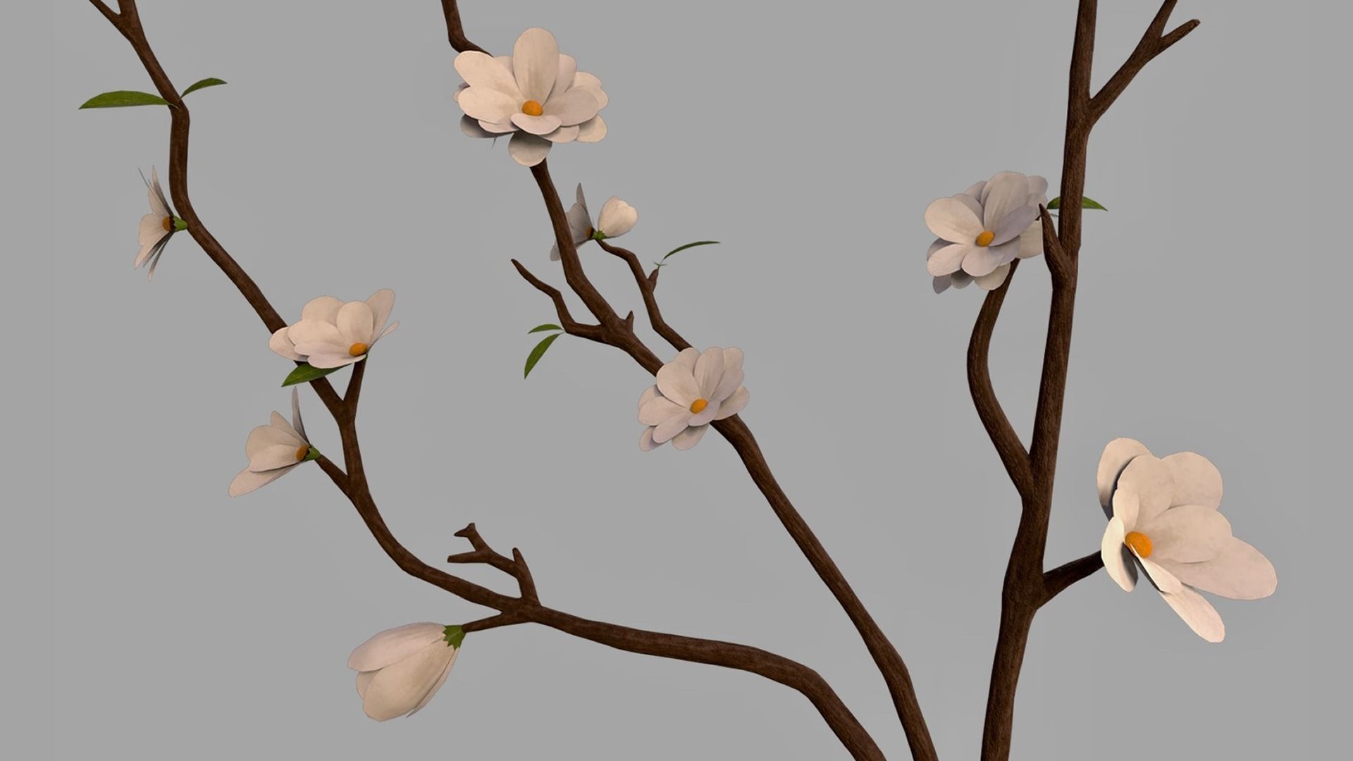 Flower in Vase Low-poly 3D model_2