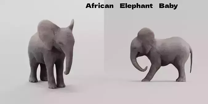 African Elephant Baby Low-poly 3D model