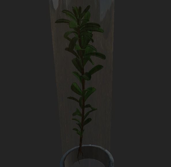 Seed Bottle Low-poly 3D model_4