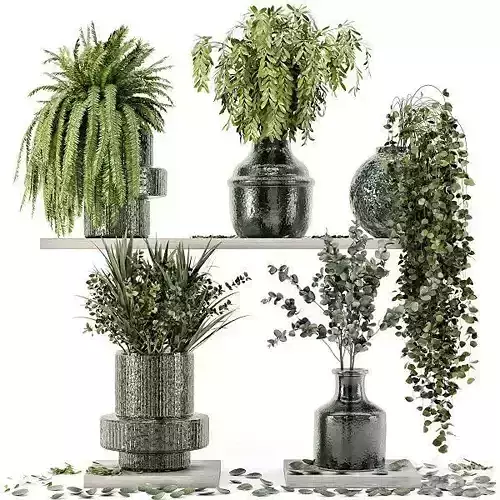 Collection Indoor Plants in Glass Pots - Set 695 3D model