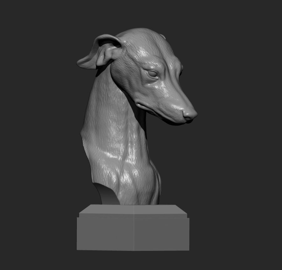 greyhound dog 3D print model 3D print model_4