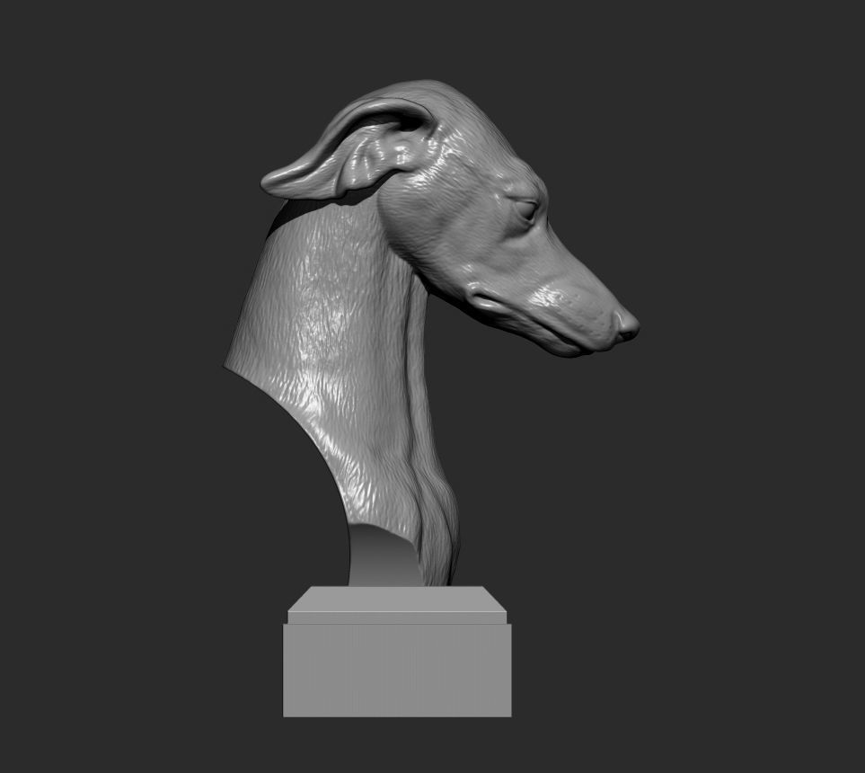 greyhound dog 3D print model 3D print model_6