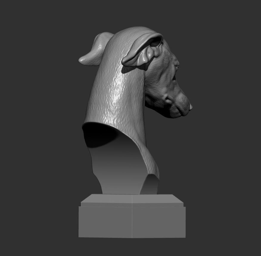 greyhound dog 3D print model 3D print model_7