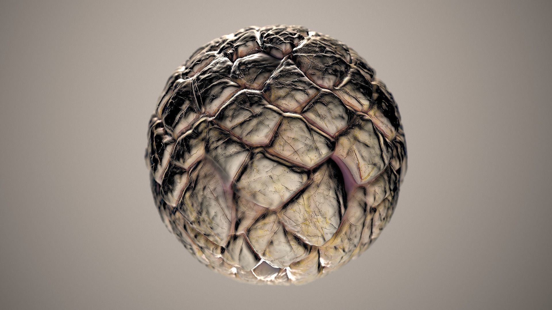 10 Materials Skin Dragon Seamless PBR Volume 11 Texture_1
