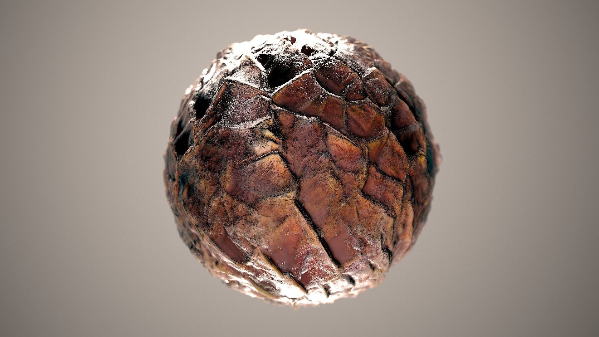 10 Materials Skin Dragon Seamless PBR Volume 11 Texture_2