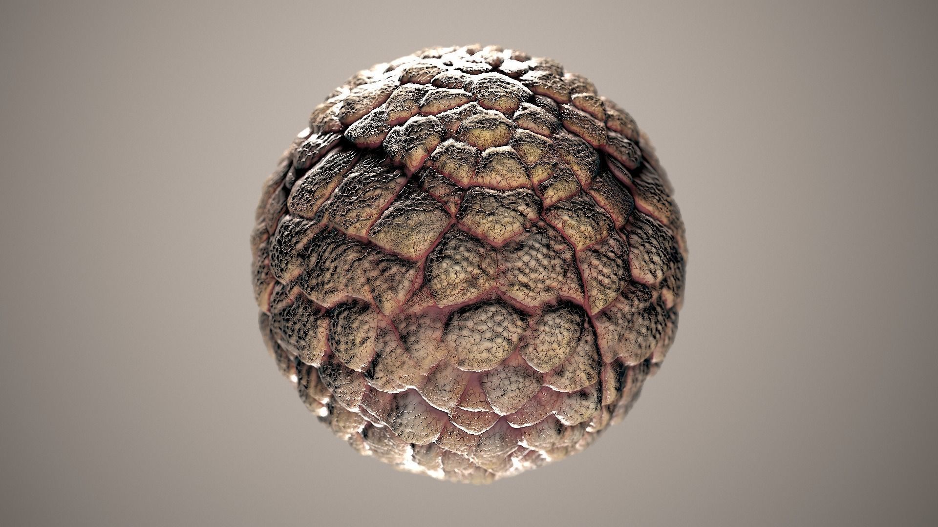 10 Materials Skin Dragon Seamless PBR Volume 14 Texture_4