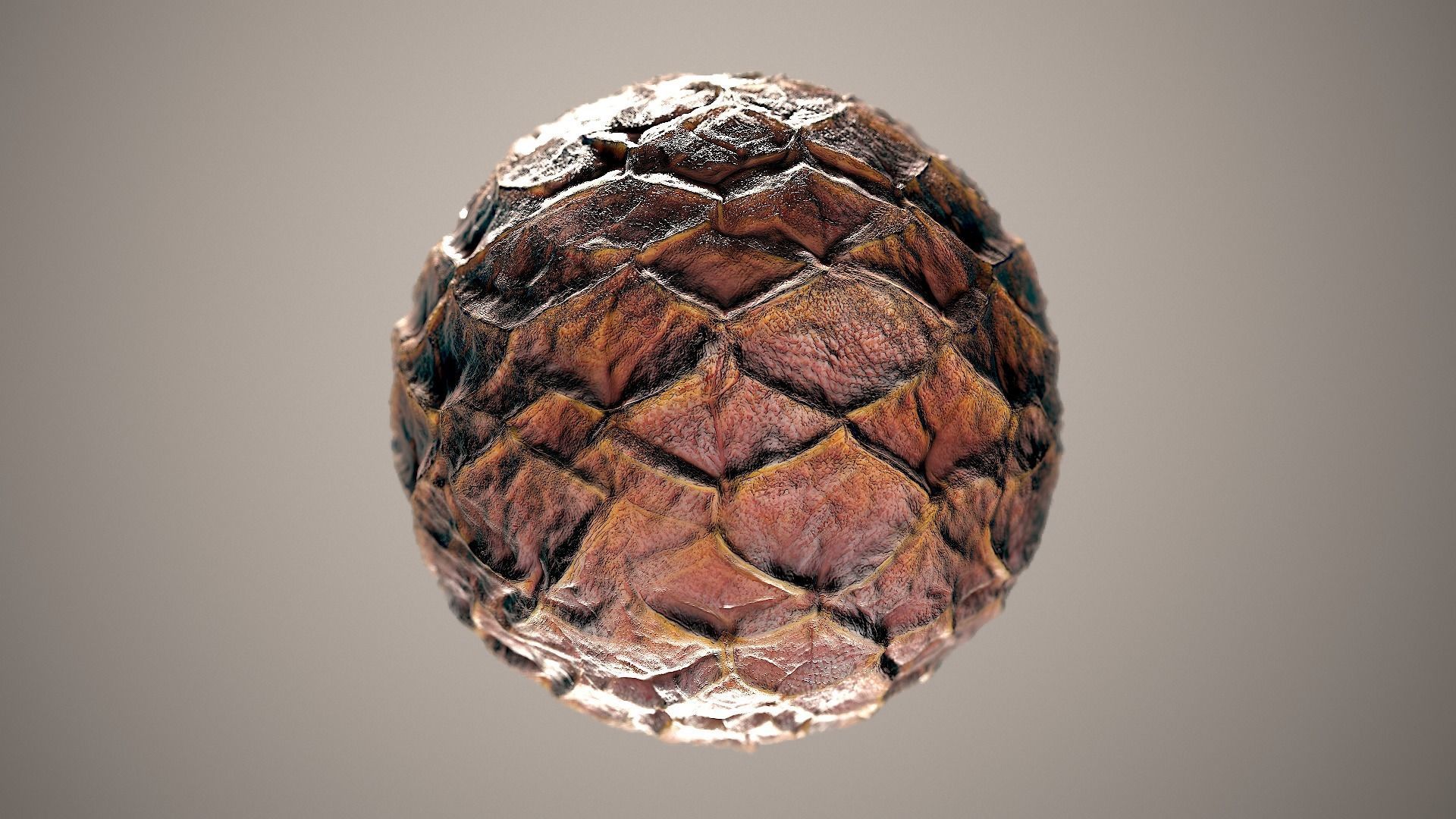 10 Materials Skin Dragon Seamless PBR Volume 14 Texture_5