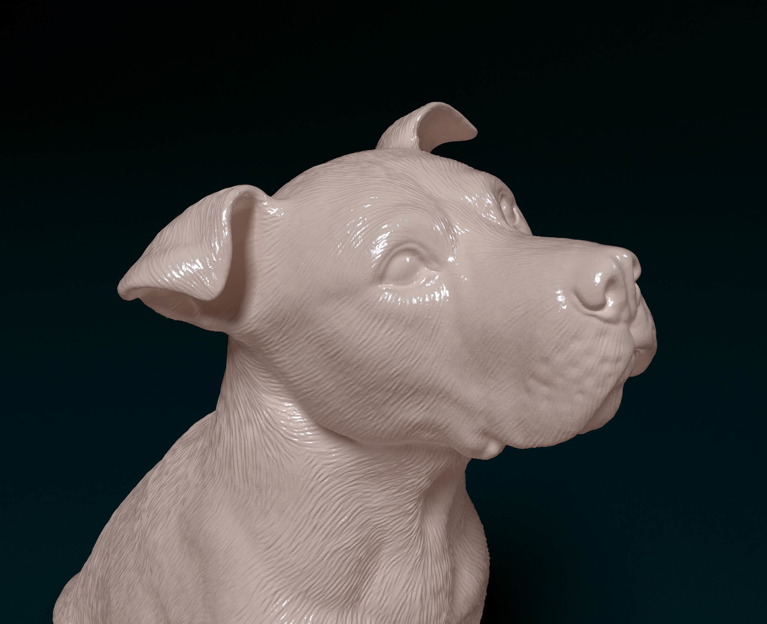 Pitbull 06 3D print model_6