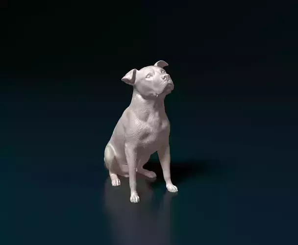 Pitbull 06 3D print model