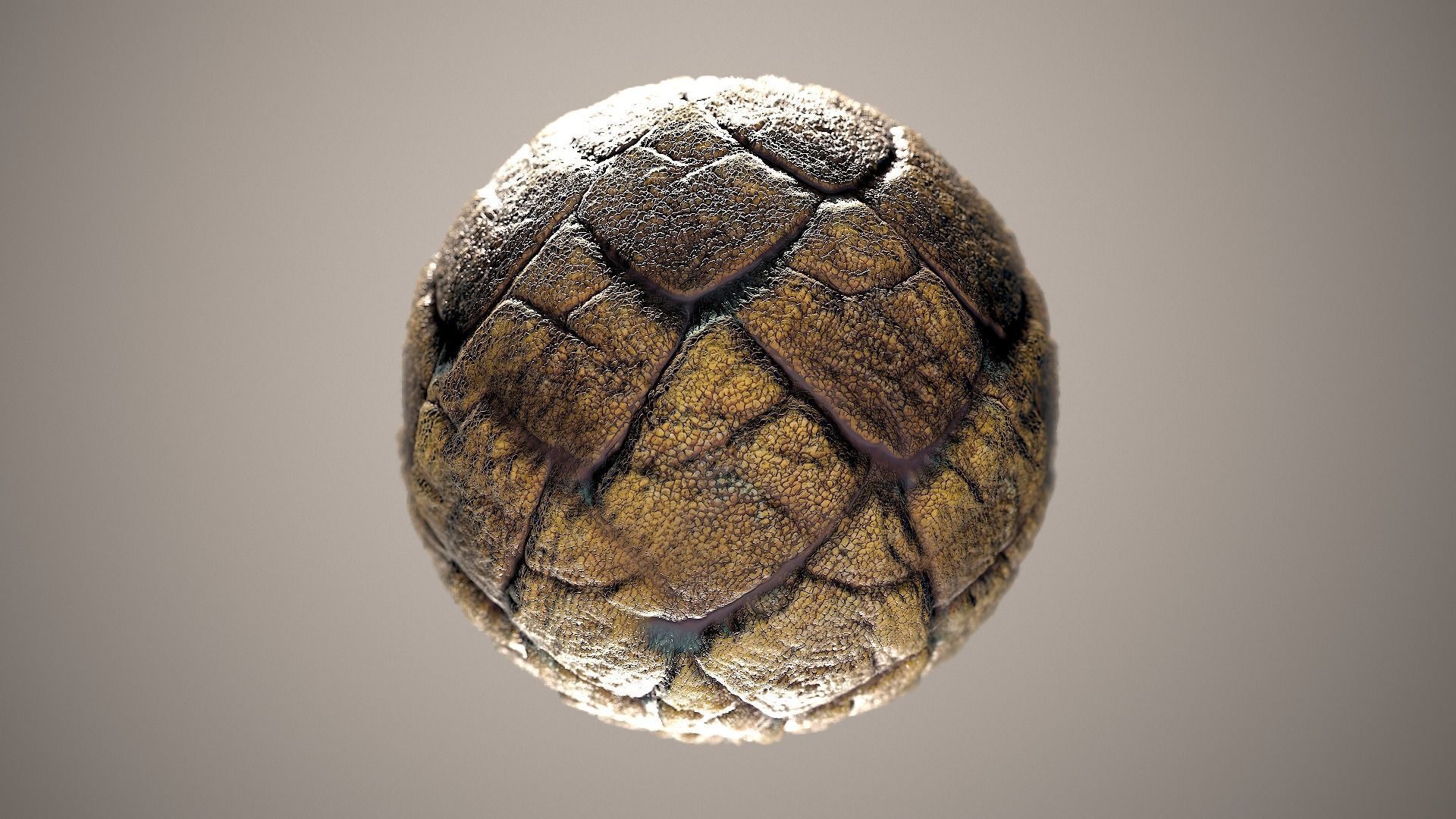 10 Materials Skin Dragon Seamless PBR Volume 15 Texture_5