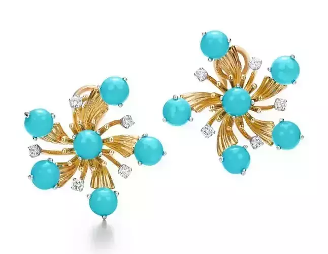 Beautiful earrings jewelry for woman