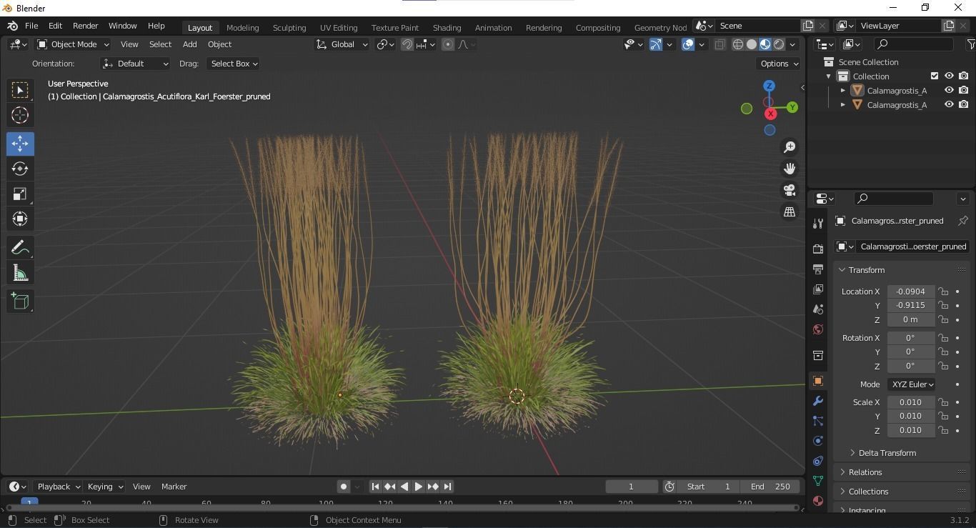 HQ Plants Calamagrostis Acutiflora Karl Foerster pruned 3D model_5
