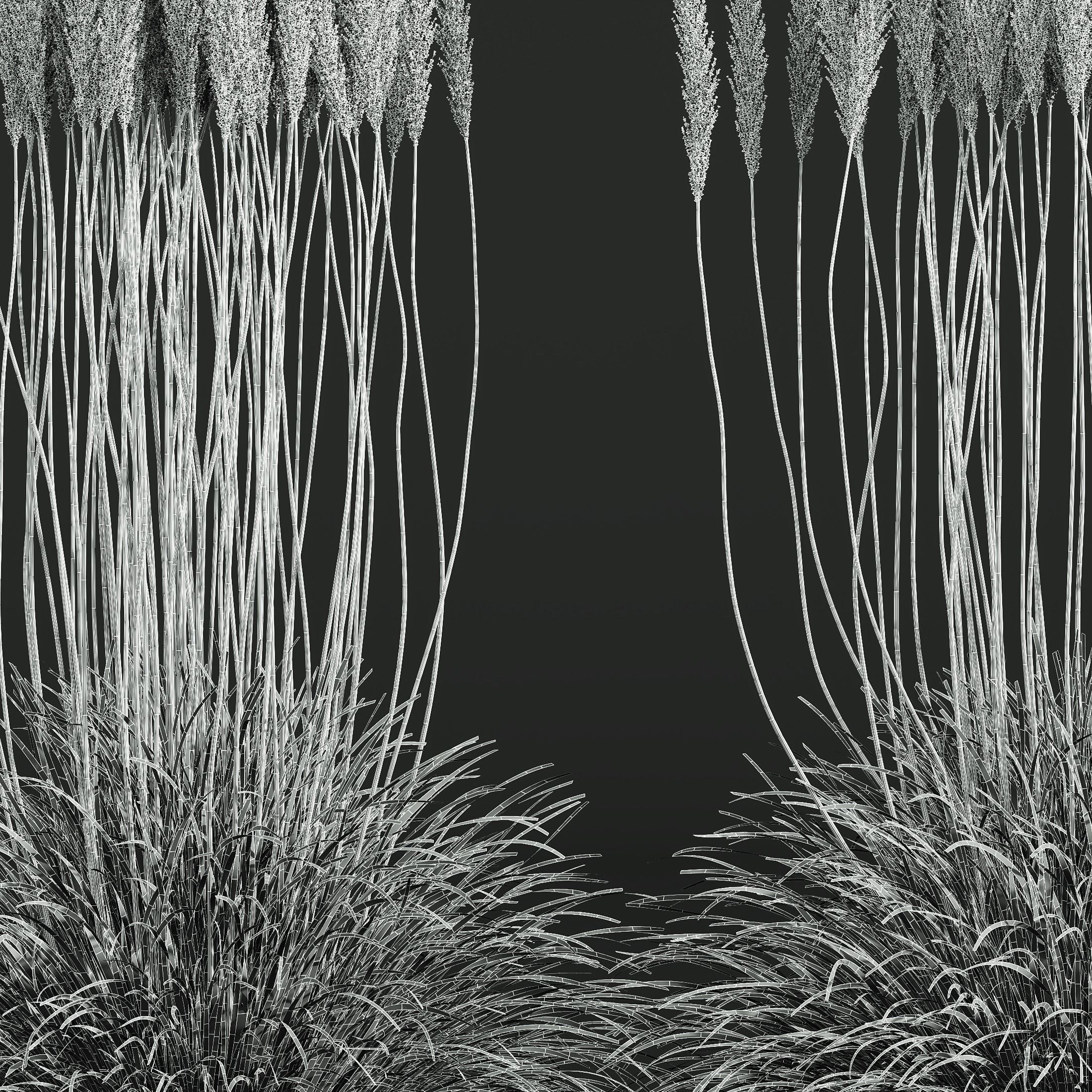 HQ Plants Calamagrostis Acutiflora Karl Foerster pruned 3D model_4