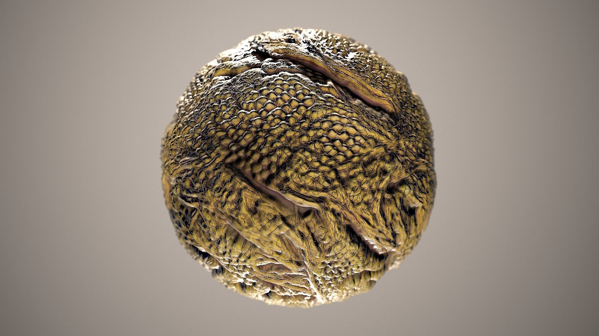10 Materials Skin Dragon Seamless PBR Volume 18 Texture_1
