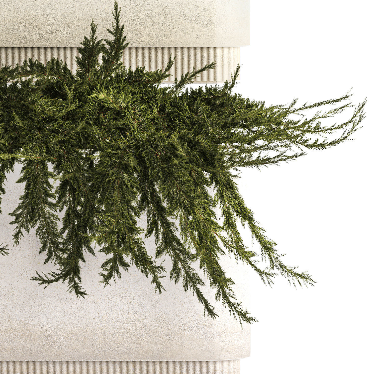 Flower Pot With Juniper Bushes And Feather Grass 1238 3D model_6