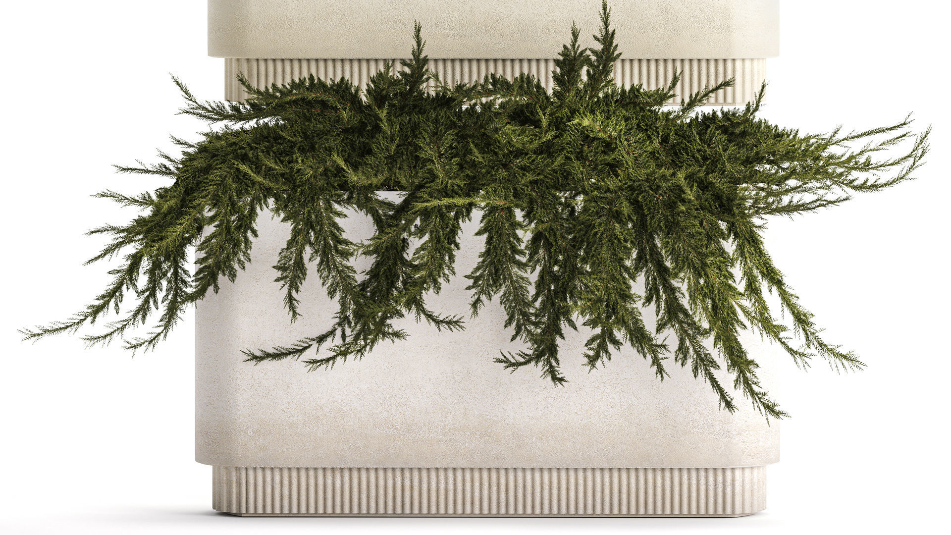 Flower Pot With Juniper Bushes And Feather Grass 1238 3D model_2