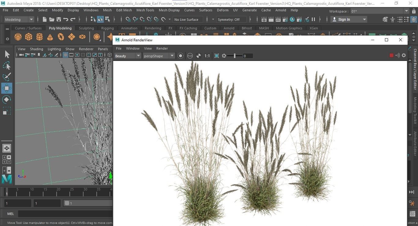 HQ Plants Calamagrostis Acutiflora Karl Foerster Version3 3D model_6