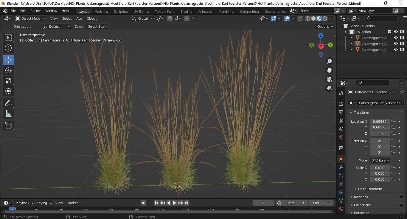HQ Plants Calamagrostis Acutiflora Karl Foerster Version3 3D model_5