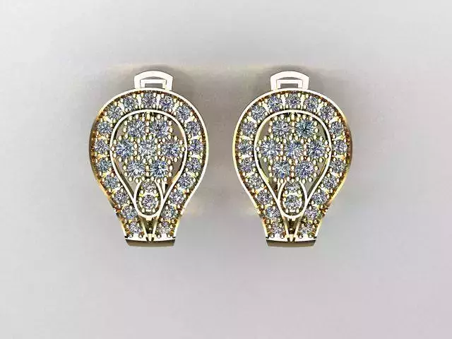 jewelry earrings